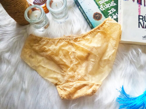 Đồ Lót Ren Kem - Ảnh 5